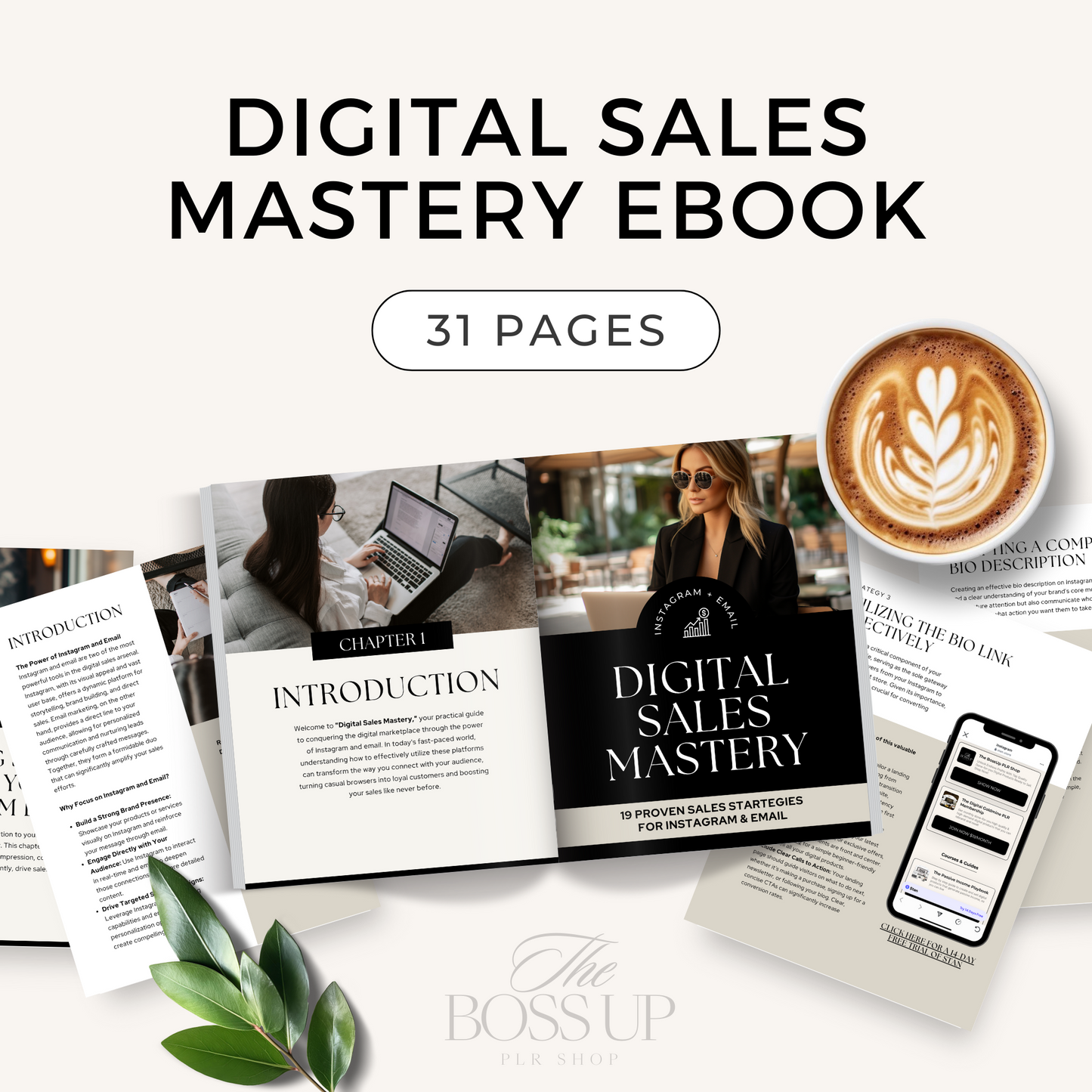 Digital Sales Mastery Ebook (MRR)