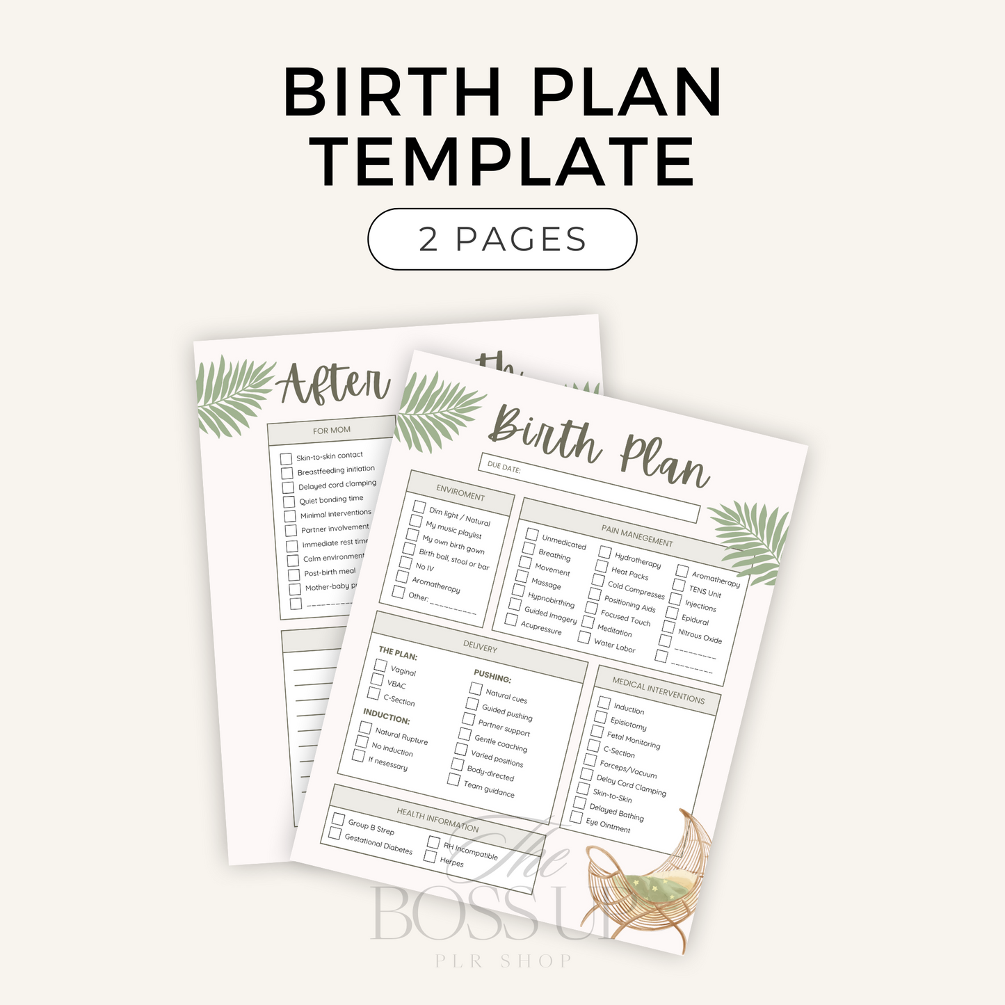 Birth Plan Template (PLR)